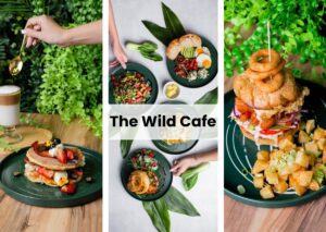 The Wild Cafe