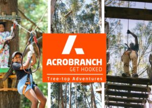 Acrobranch