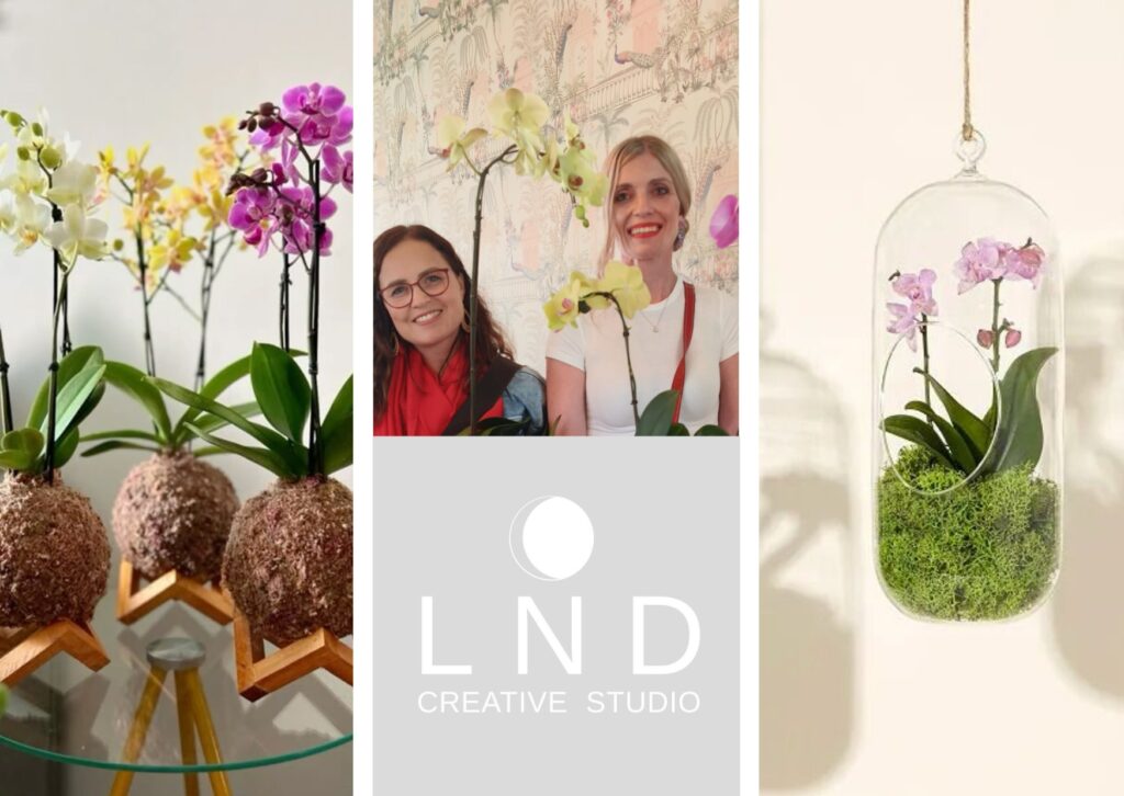 LND Creative Studio01