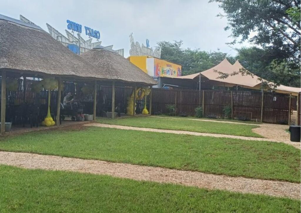 Dino Kingdom Party Area