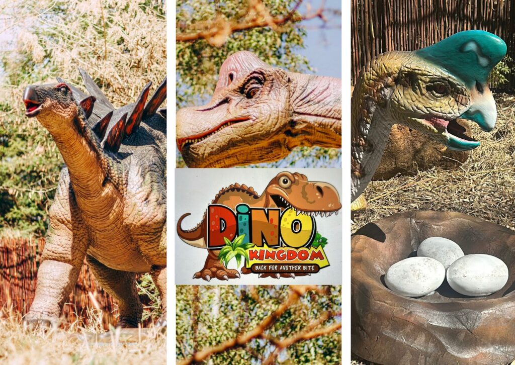 Dino Kingdom kiddies party venue in Pretoria East