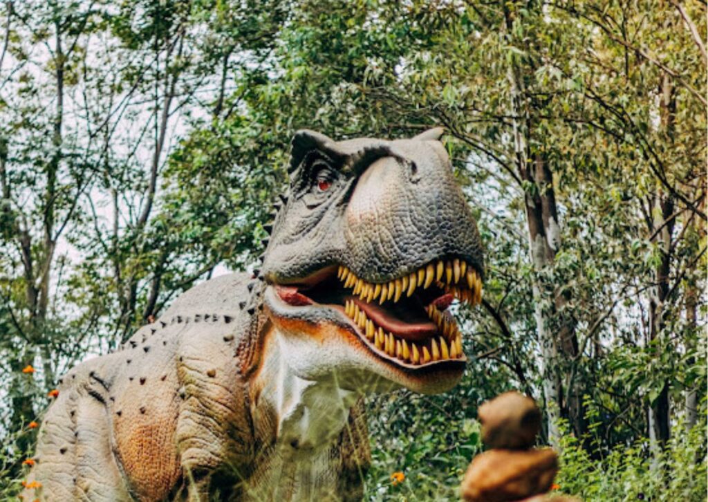 Dino Kingdom kiddies party venue in Pretoria East