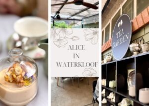 Alice in Waterkloof garden café