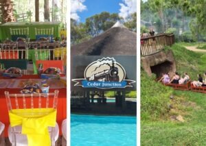 Cedar Junction Family Resort kids birthday parties in Pretoria East