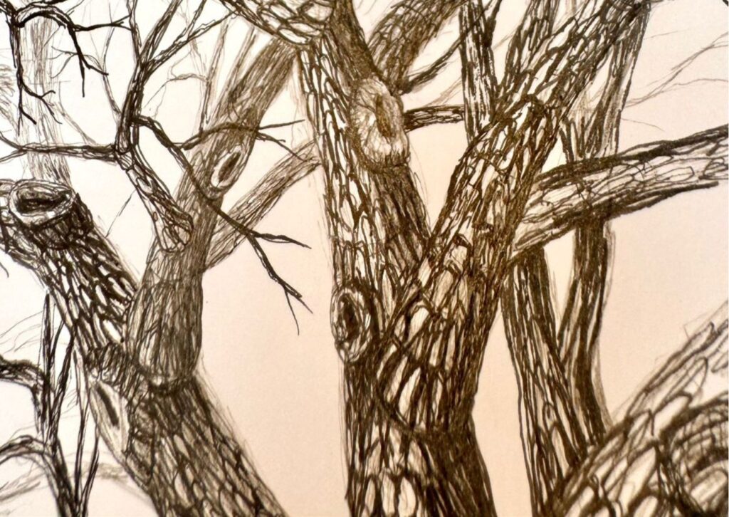 Fingerprint Trees fingerprint tree guestbook by Leonor