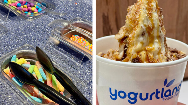 Yogurtland Menlyn Maine premium frozen yoghurt Pretoria